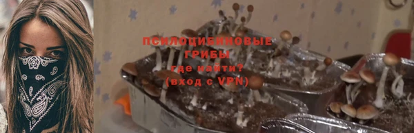 мяу мяу мука Белокуриха