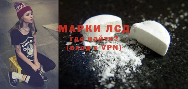 индика Белоозёрский