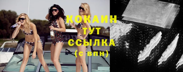 мяу мяу мука Белокуриха