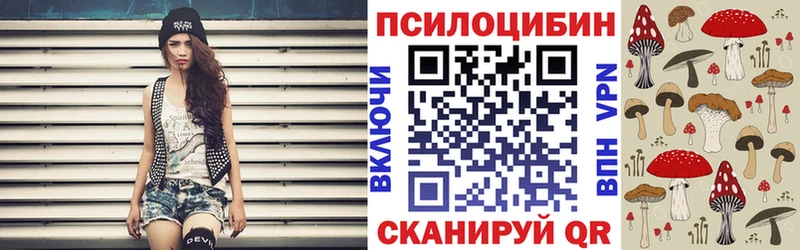 Галлюциногенные грибы мицелий Губкинский